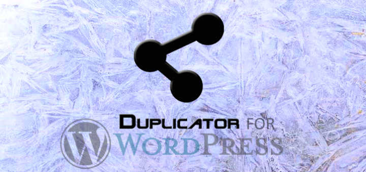 Duplicator For Migration