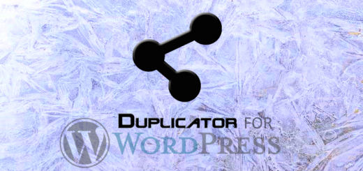 Duplicator For Migration